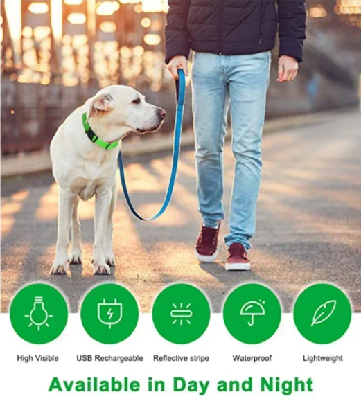 LED Glowing Dog Collar