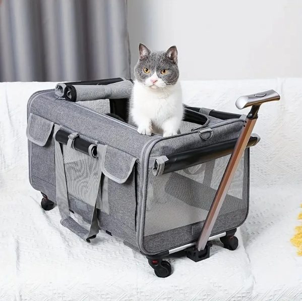 Extra-Large Portable Pet Trolley Case