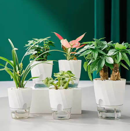 Self-Watering Flower Pot 🌱 Transparent Double Layer, Self-Absorbing Plastic Flower Pot for Indoor and Office Use