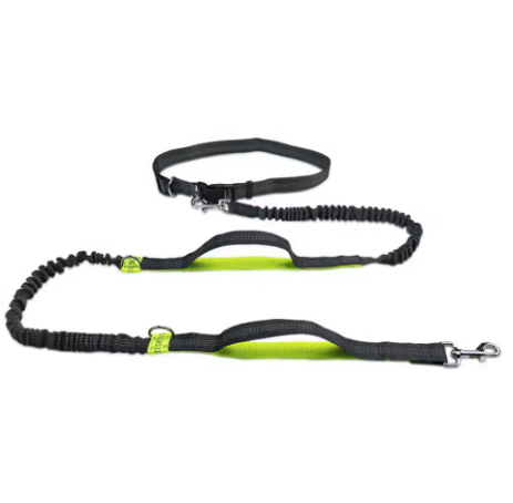 Reflective Running Dog Leash 🐕🦺✨ Hands-free Jogging Harness
