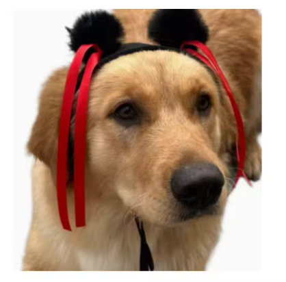 NONOR Pet Wigs - Cosplay Hair Hats, Halloween & Christmas Props for Dogs & Cats