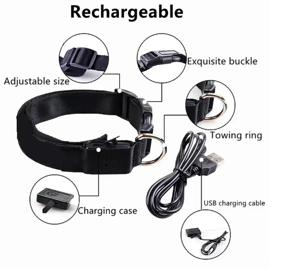 LED Glowing Dog Collar