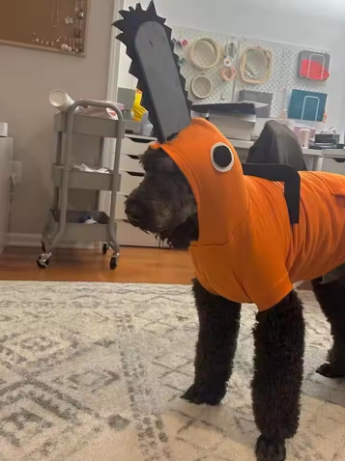 Chainsaw Pochita Pet Costume: Cute Cat/Puppy Cape Costume, Summer