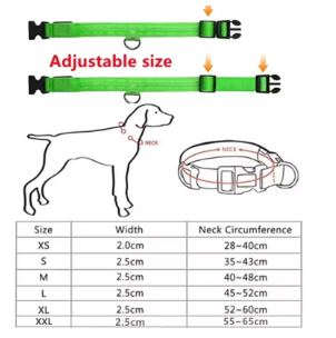 LED Glowing Dog Collar
