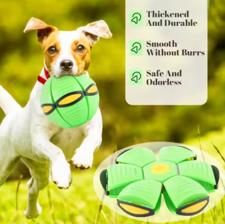 Flying Disc for Dogs - Outdoor Play & Training, Suitable for All Breeds