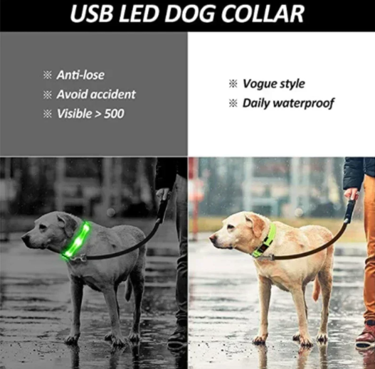 LED Glowing Dog Collar