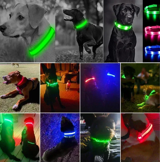 LED Glowing Dog Collar