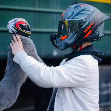 DIY Pet Helmet β Mini Safety Helmet for Cats and Dogs, Outdoor and Photo Props
