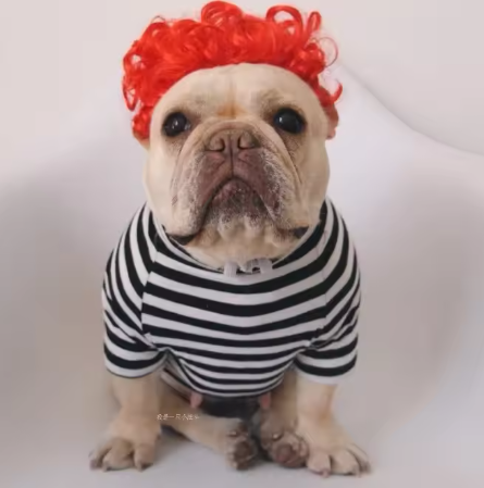 NONOR Pet Wigs - Cosplay Hair Hats, Halloween & Christmas Props for Dogs & Cats