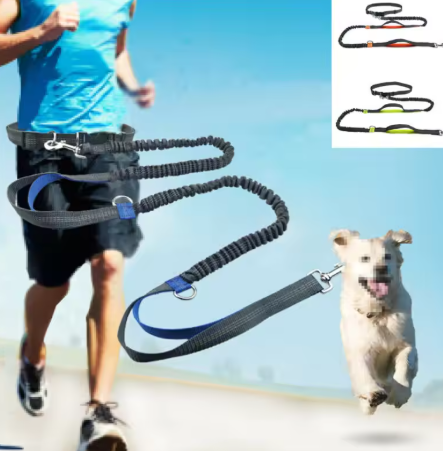 Reflective Running Dog Leash 🐕🦺✨ Hands-free Jogging Harness