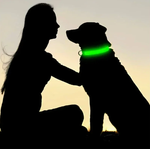 LED Glowing Dog Collar