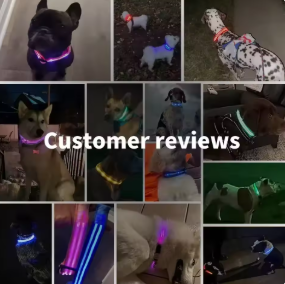LED Glowing Dog Collar