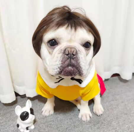 NONOR Pet Wigs - Cosplay Hair Hats, Halloween & Christmas Props for Dogs & Cats
