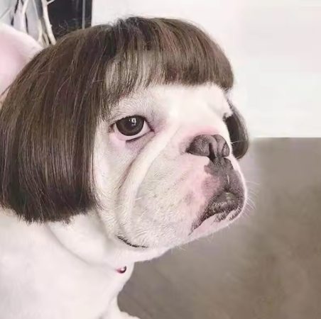 NONOR Pet Wigs - Cosplay Hair Hats, Halloween & Christmas Props for Dogs & Cats