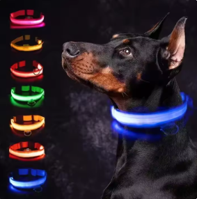 LED Glowing Dog Collar