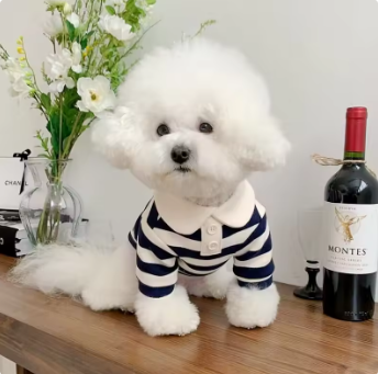 Summer Polo Shirt Dog Clothes