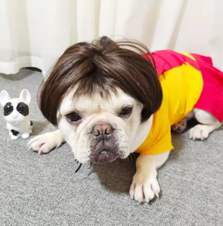 NONOR Pet Wigs - Cosplay Hair Hats, Halloween & Christmas Props for Dogs & Cats