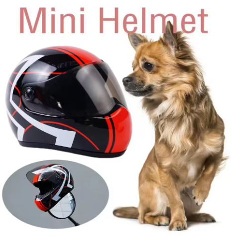 DIY Pet Helmet β Mini Safety Helmet for Cats and Dogs, Outdoor and Photo Props