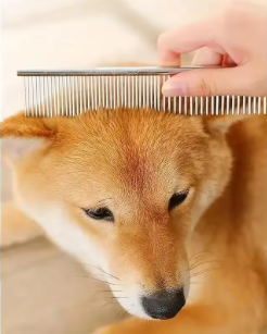 Ambidextrous Pet Safety Scissors
