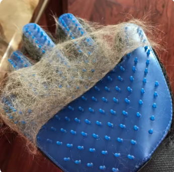 Dog & Cat Hair Removal Gloves