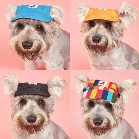 Summer Dog Canvas Hat – Adjustable, UV-Protective Sports Hat