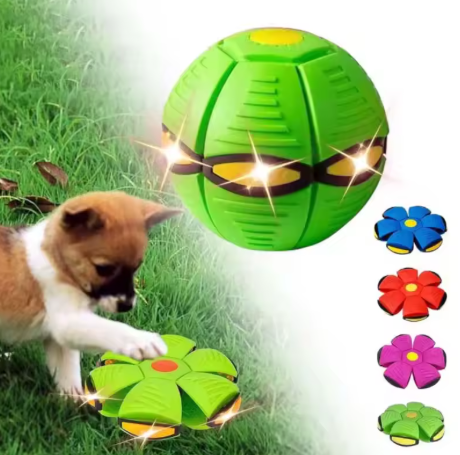 Flying Disc for Dogs - Outdoor Play & Training, Suitable for All Breeds