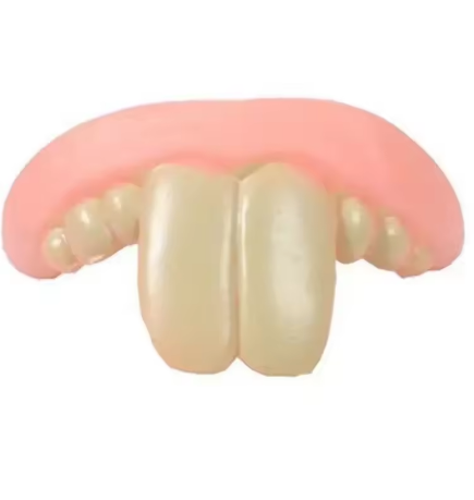 Cute Corgi Dentures Toy Puppy Cosplay & Decoration Funny Teeth Prop