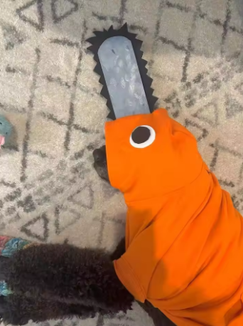 Chainsaw Pochita Pet Costume: Cute Cat/Puppy Cape Costume, Summer