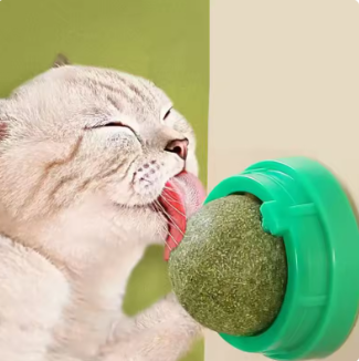 Catnip Wall Stick-On Ball