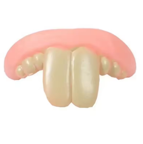 Cute Corgi Dentures Toy Puppy Cosplay & Decoration Funny Teeth Prop
