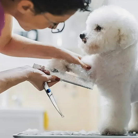 Ambidextrous Pet Safety Scissors