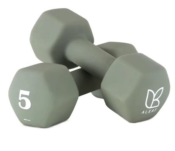 ARIF Neoprene Color Hex Dumbbells (Pair) – 0.5kg to 5kg