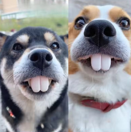 Cute Corgi Dentures Toy Puppy Cosplay & Decoration Funny Teeth Prop