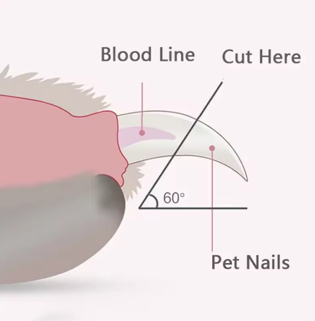 LED Light Pet Nail Trimmer, Professional Cat and Dog Nail Clipper Trimmer