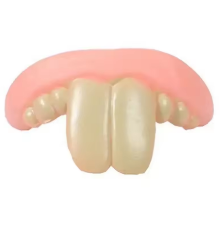 Cute Corgi Dentures Toy Puppy Cosplay & Decoration Funny Teeth Prop