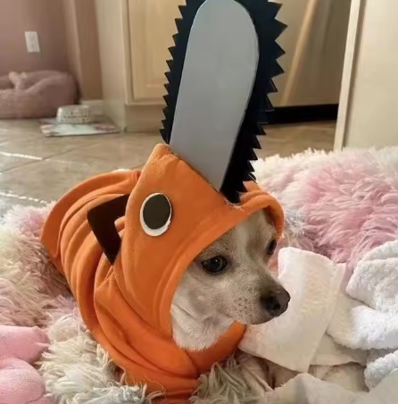 Chainsaw Pochita Pet Costume: Cute Cat/Puppy Cape Costume, Summer
