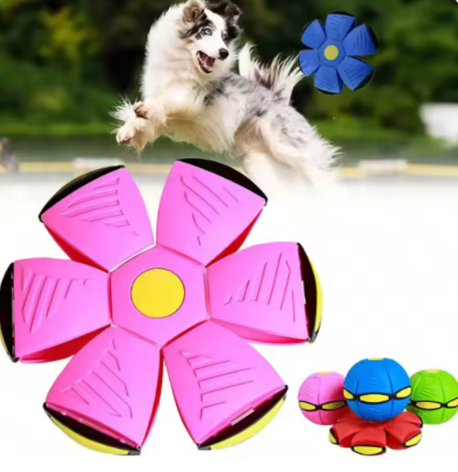 Flying Disc for Dogs - Outdoor Play & Training, Suitable for All Breeds