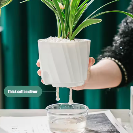 Self-Watering Flower Pot 🌱 Transparent Double Layer, Self-Absorbing Plastic Flower Pot for Indoor and Office Use