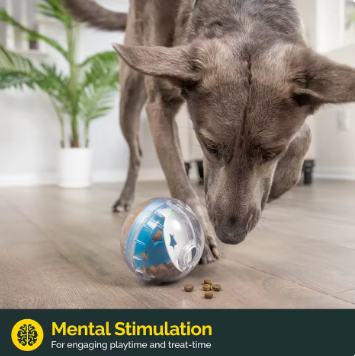 IQ Therapy Ball Dog Treat Dispenser Toy Ball Interactive Dog Toy - 4" Dog Food Toy Stimulation, Slow Feeder
