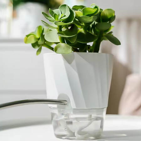 Self-Watering Flower Pot 🌱 Transparent Double Layer, Self-Absorbing Plastic Flower Pot for Indoor and Office Use