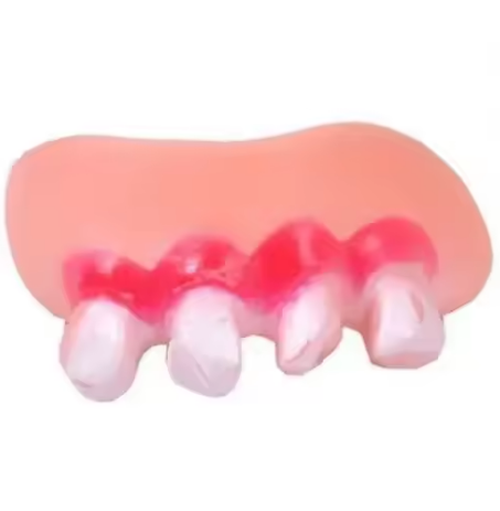 Cute Corgi Dentures Toy Puppy Cosplay & Decoration Funny Teeth Prop