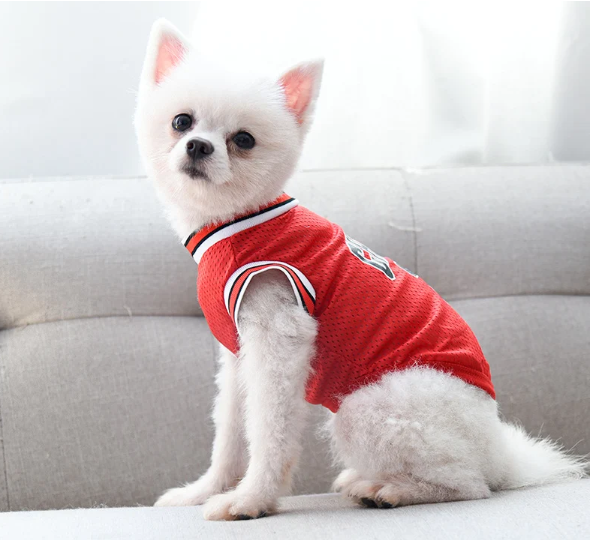 Sports Dog Clothes