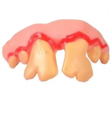 Cute Corgi Dentures Toy Puppy Cosplay & Decoration Funny Teeth Prop