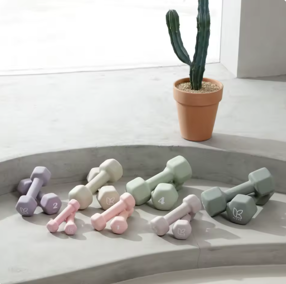 ARIF Neoprene Color Hex Dumbbells (Pair) – 0.5kg to 5kg