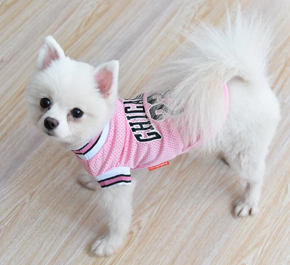 Sports Dog Clothes