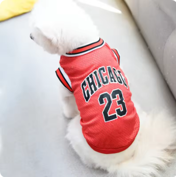 Sports Dog Clothes