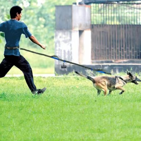 Reflective Running Dog Leash 🐕‍🦺✨ Hands-free Jogging Harness
